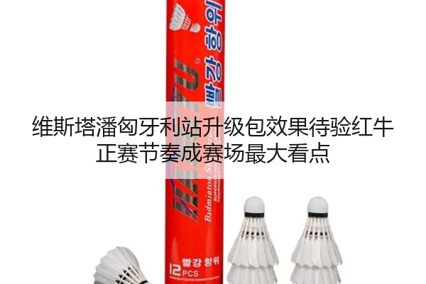 维斯塔潘匈牙利站升级包效果待验红牛正赛节奏成赛场最大看点